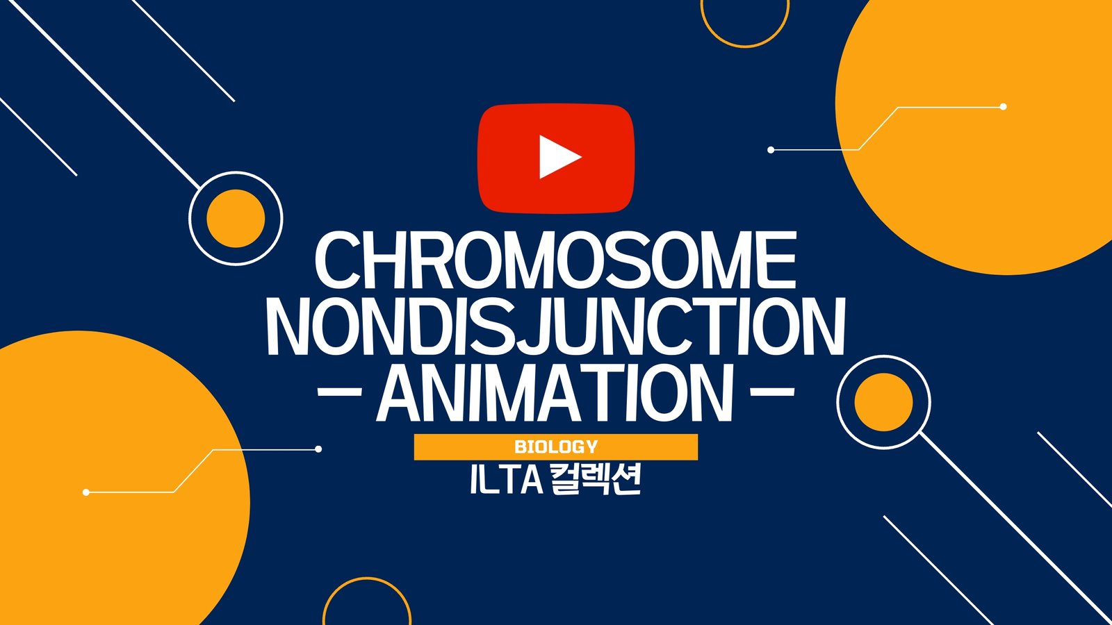 Youtube Poster Image Ilta Collection Biology Chromosome Nondisjunction Eu 메듀케이션