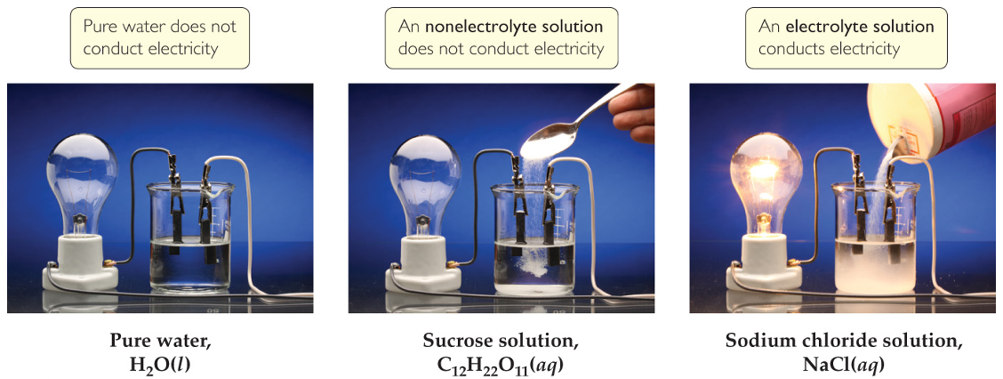 Why Do Strong Electrolytes Conduct Electricity