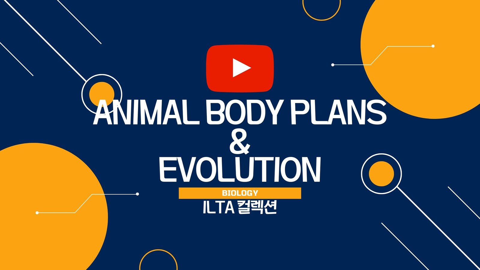 youtube-poster-image-ilta-collection-biology-animal-body-plans-and